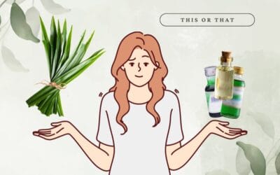Pandan Leaves vs Essence: Key to Authentic Nonya Kueh